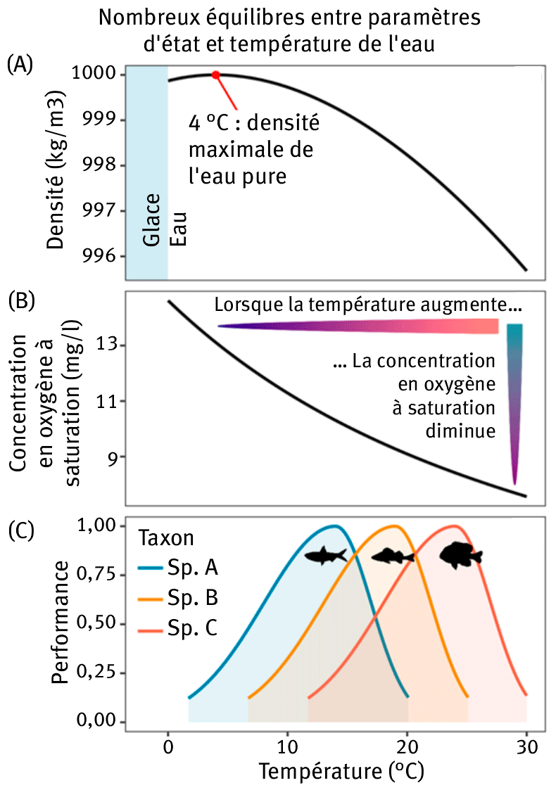 Une image contenant texte, capture d’écran, diagramme, ligne Le contenu généré par l’IA peut être incorrect.
