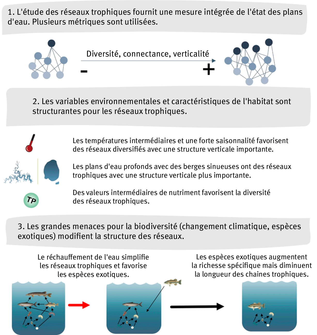 Figure 4. Représentation schématique des principaux résultats. (1) les réseaux comme mesure intégrée de l’état des plans d’eau ; (2) les variables qui influences la structure des réseaux trophiques ; (3) le changement global et les réseaux trophiques.