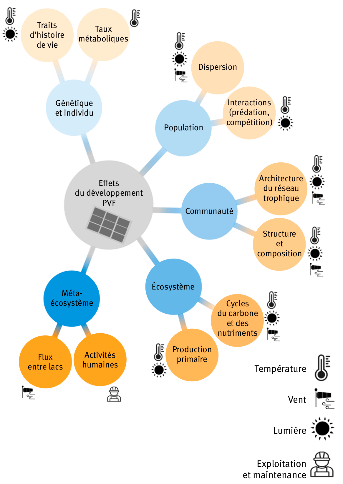 Figure 1. Altérations potentielles à différents niveaux d’organisation biologique induites par les modifications des facteurs physiques (lumière, vent et température) occasionnées par l’installation de centrales photovoltaïques sur un plan d’eau (modifié à partir de Nobre et al., 2023).