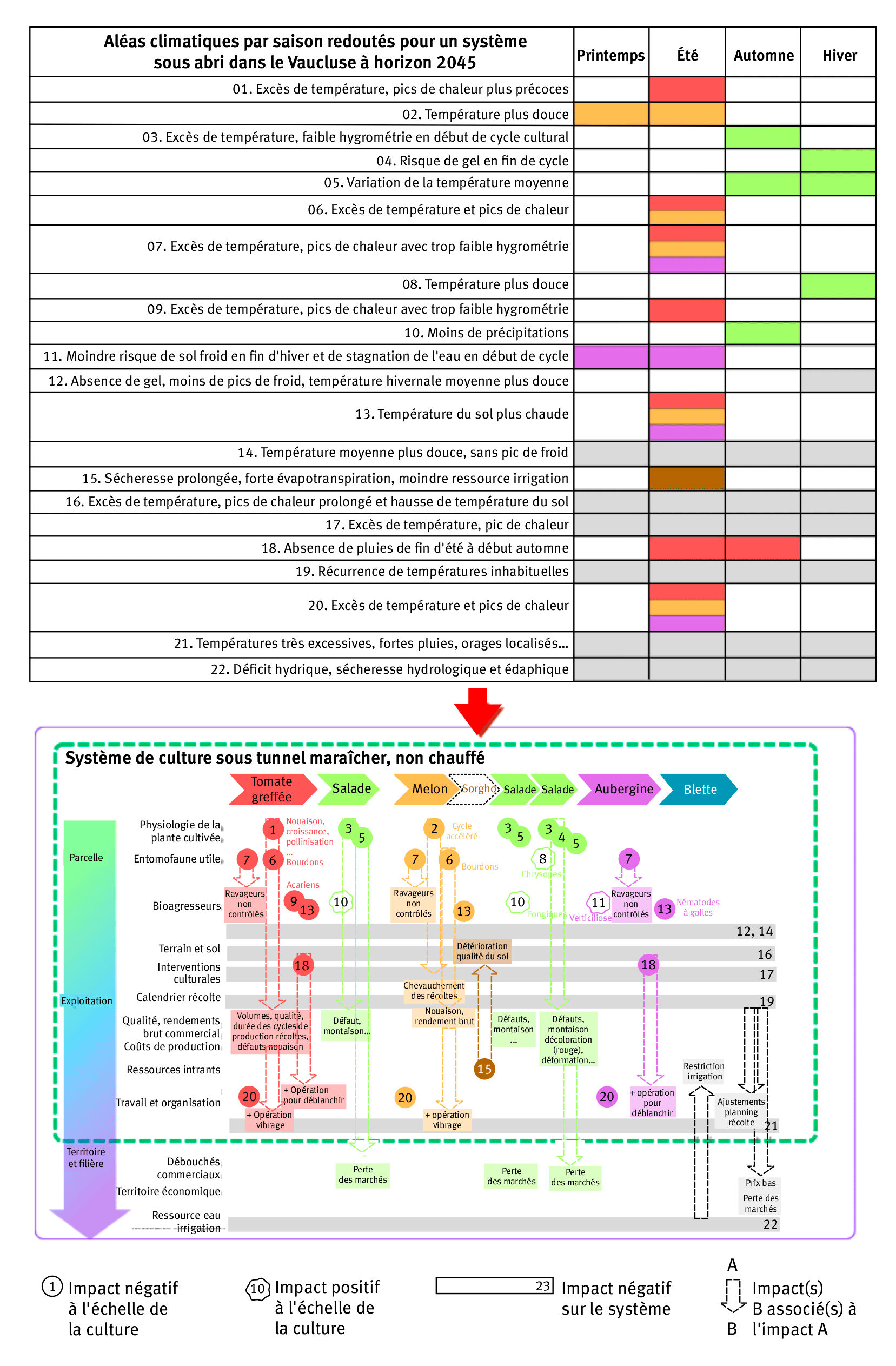 Figure 2. Synthèse schématique des impacts climatiques identifiés par les experts sur un système de culture type d’Avignon à horizon 2045.