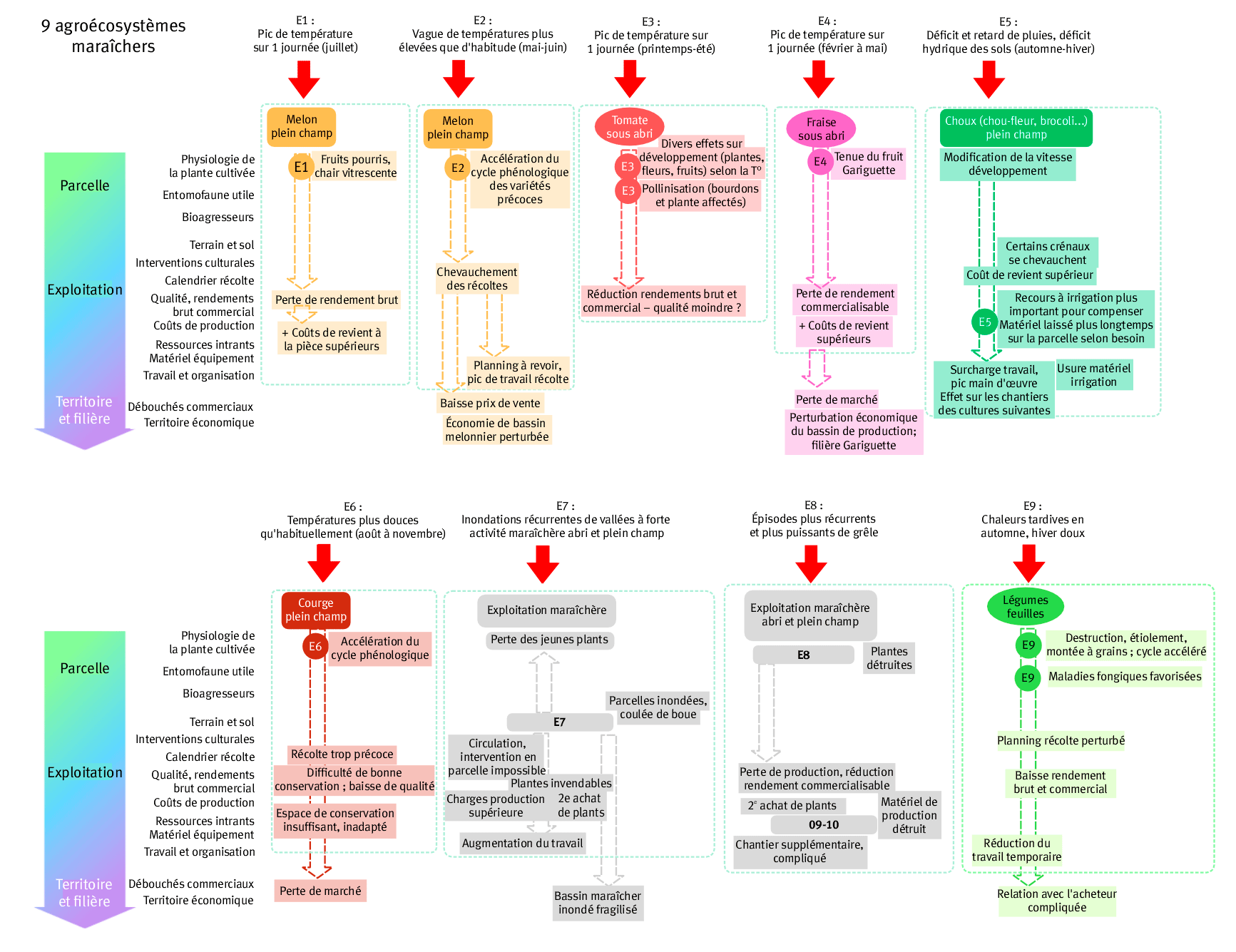 Figure 3. Représentation schématique des neuf situations d’impact climatique caractérisées par enquête auprès d’acteurs de terrain en Provence-Alpes-Côte d'Azur et Occitanie.