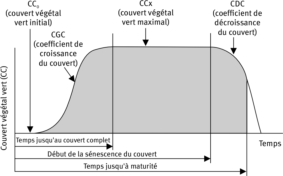 Figure 3. Représentation du cycle de culture dans Aquacrop: le développement de la culture est associé au temps thermique (Steduto et al., 2009).