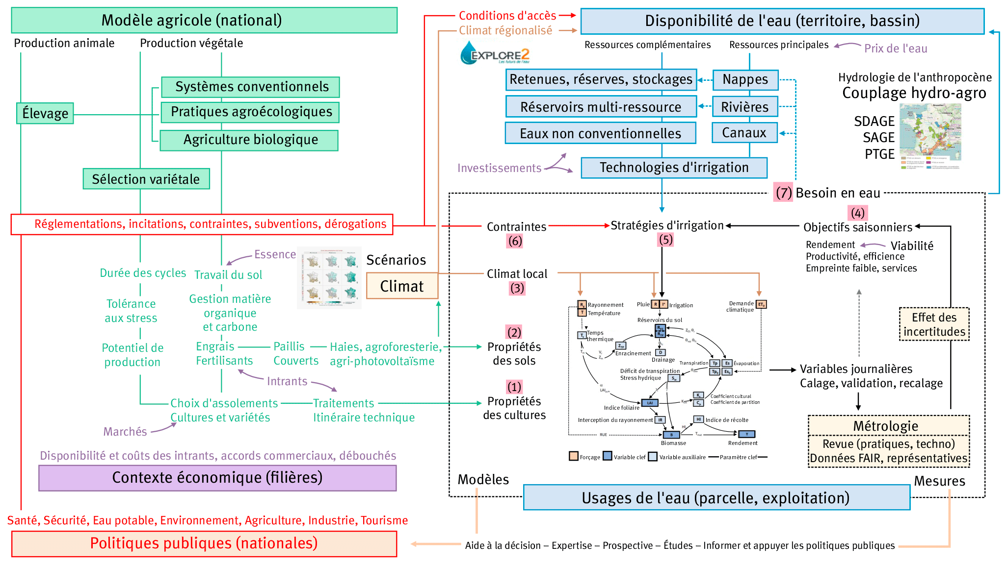 Figure 5. Vision systémique et multi-échelles des leviers directs (stratégies d’irrigation) et indirects (issus du modèle agricole et des lois sur l’eau) de gestion de l’eau, dont la disponibilité (ex. : Explore 2) résulte conjointement de scénarios climatiques (ex. : TRACC), de scénarios de politiques publiques et des stratégies d’irrigation (ex. : Optirrig), via des rétroactions complexes entre l’hydrologie aux échelles régionales ou des grands bassins, la gouvernance des territoires (ex. : SDAGE, SAGE, PTGE) aux échelles intermédiaires et les objectifs agronomiques et environnementaux aux échelles locales (parcelle, exploitation). Dans cette représentation, le lien complexe et contextuel entre besoin en eau (7), choix des cultures (1), propriétés des sols (2), climat sur les parcelles (3), objectifs saisonniers (4), stratégies d’irrigation (5) et contraintes diverses (6) est décrit par les modèles «biophysiques» de culture et d’irrigation (zone en pointillés). La métrologie joue un rôle essentiel et sous-estimé dans la chaine de décision, les décisions étant prises sur la foi des mesures ou d’après les résultats des modèles calés sur les mesures. Les incertitudes associées doivent absolument être décrites et leur transmission prise en compte. Finalement, les aspects économiques peuvent être considérés comme une couche supplémentaire dans cette description, avec leurs propres scénarios de coûts, de chaines de valeur et de débouchés.