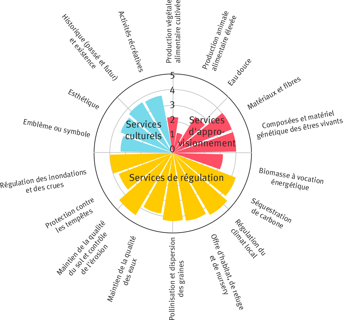 Une image contenant texte, cercle, diagramme, capture d’écran Le contenu généré par l’IA peut être incorrect.