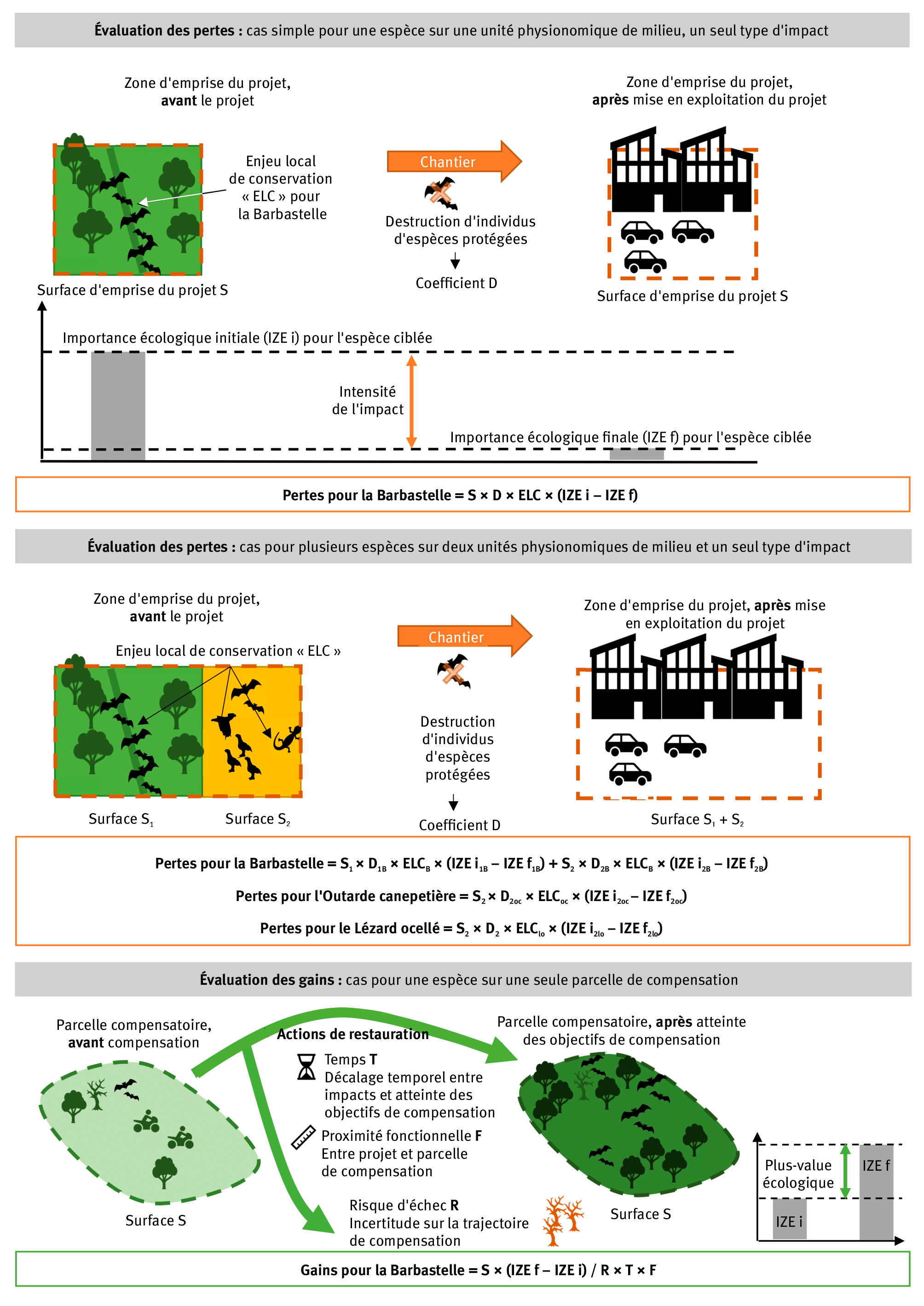 Figure 2. Principes et formules d'évaluation des pertes et des gains par espèce.