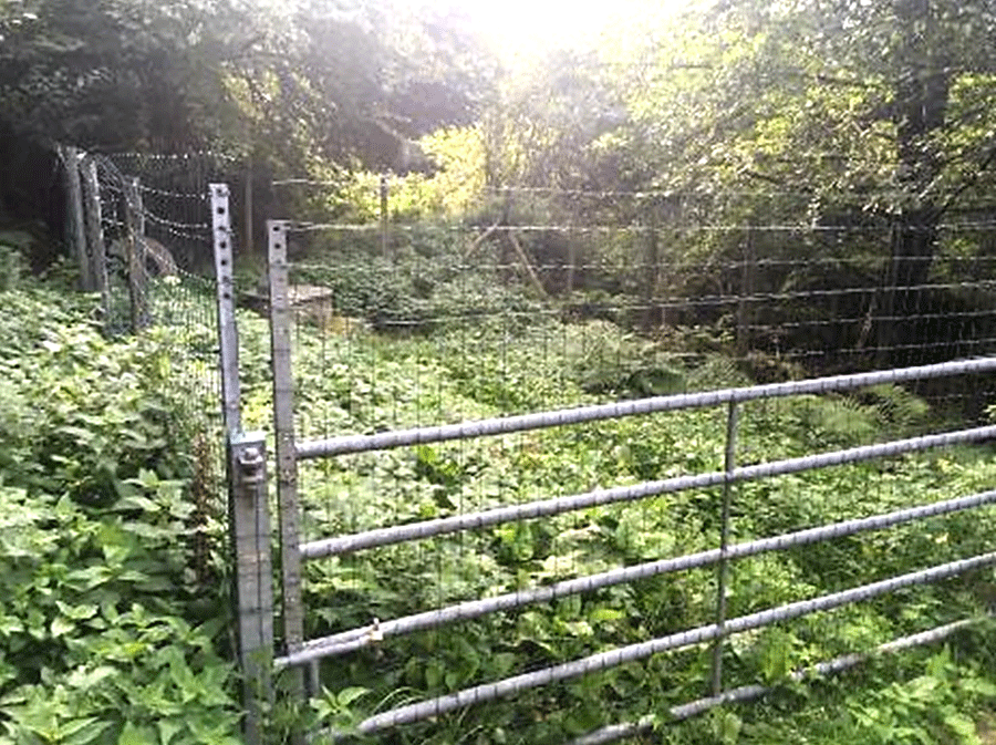 Photo 5. Périmètre de protection immédiat d’une station de captage d’un service associatif (Nièvre).