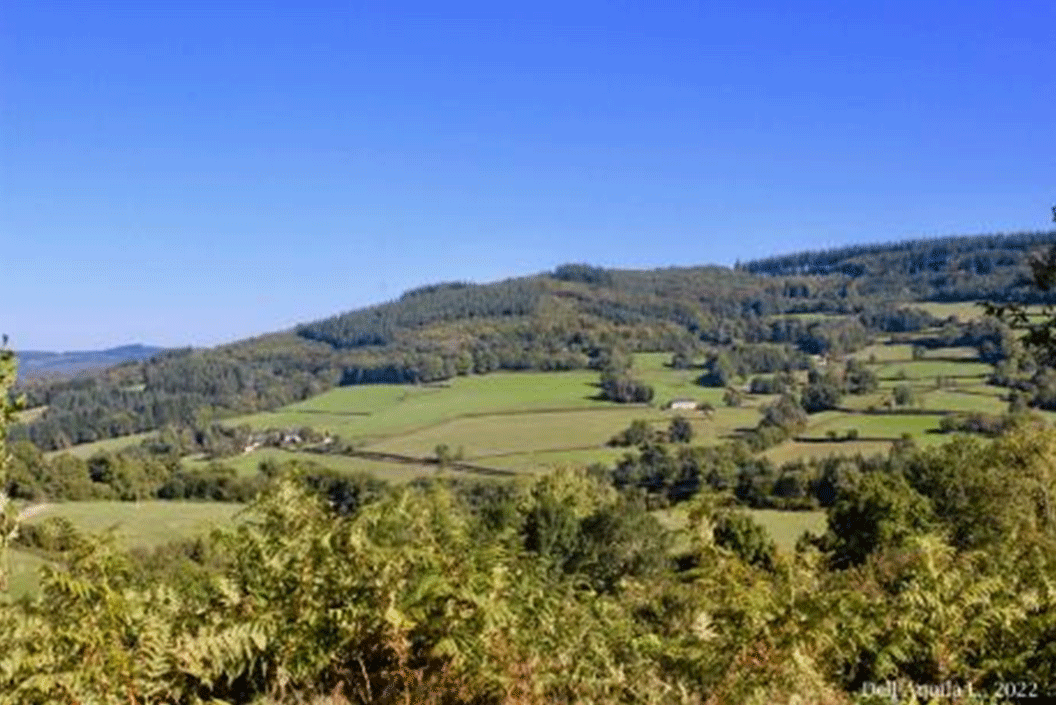Photo 4. Vue du paysage vallonné depuis une station de captage d’un service associatif (Nièvre).
