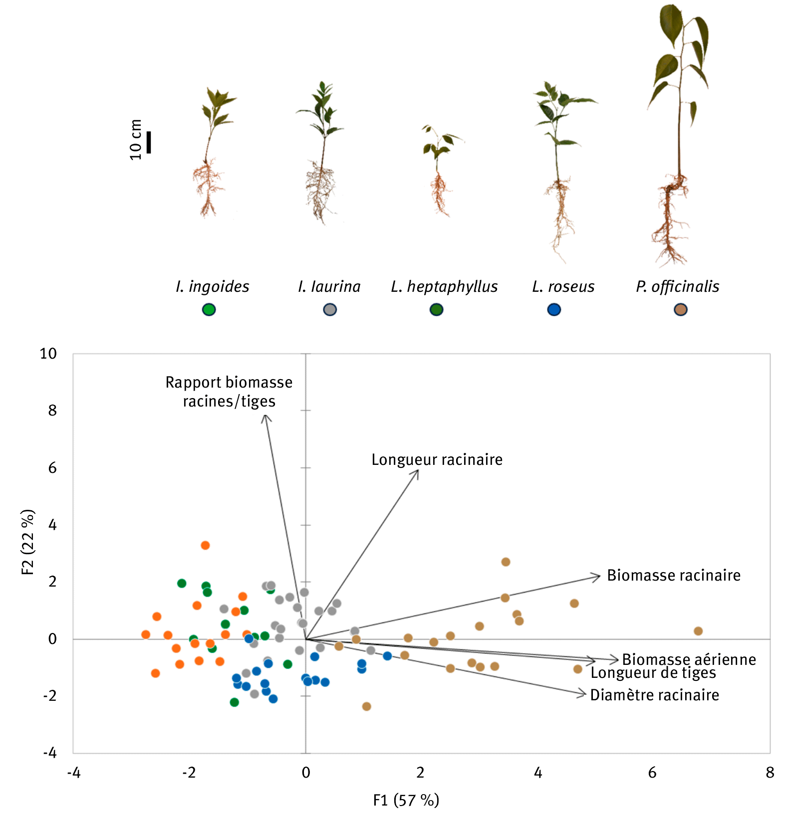 Une image contenant texte, diagramme, capture d’écran, ligne Le contenu généré par l’IA peut être incorrect.