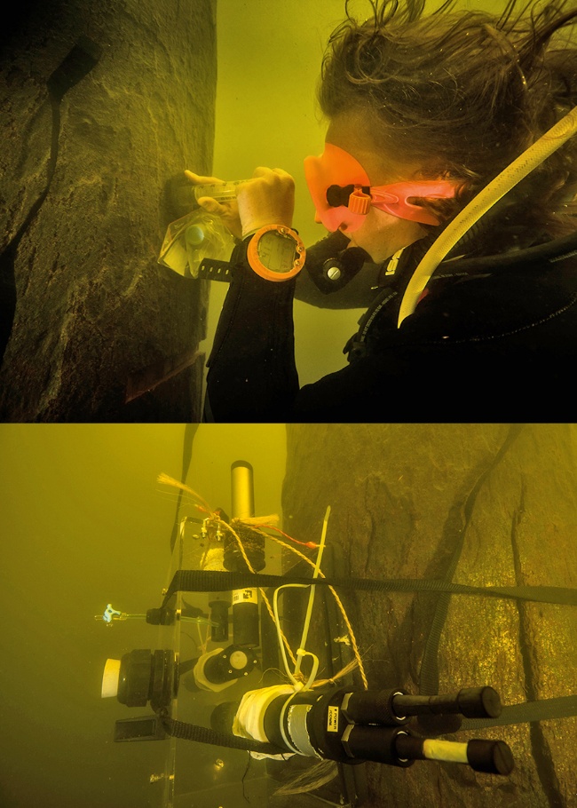 Une image contenant personne, homme, mur, intérieur Le contenu généré par l’IA peut être incorrect.