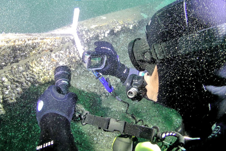 Une image contenant eau, Équipement de plongée, Chef de plongée, Plongée Le contenu généré par l’IA peut être incorrect.