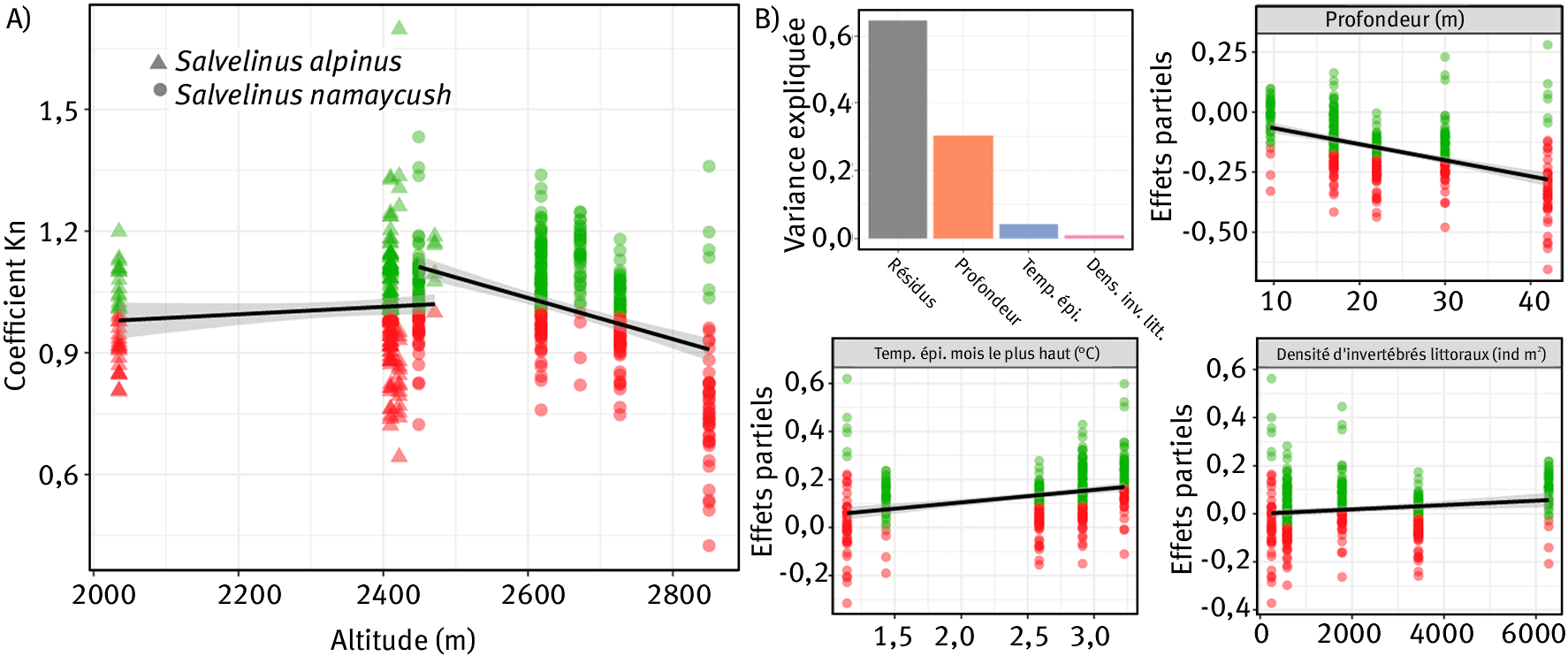 Figure 3. (A) Variations du coefficient spécifique Kn en fonction de l’altitude pour l’omble chevalier et pour le cristivomer. (B) Effets partiels des trois variables retenues dans le modèle linéaire multiple permettant d’expliquer les variations de coefficients spécifiques pour le cristivomer. Les individus en vert ont de bonnes conditions individuelles (coefficients spécifiques supérieurs à 1) et ceux en rouge présentent des conditions individuelles altérées (coefficients spécifiques inférieurs à 1).