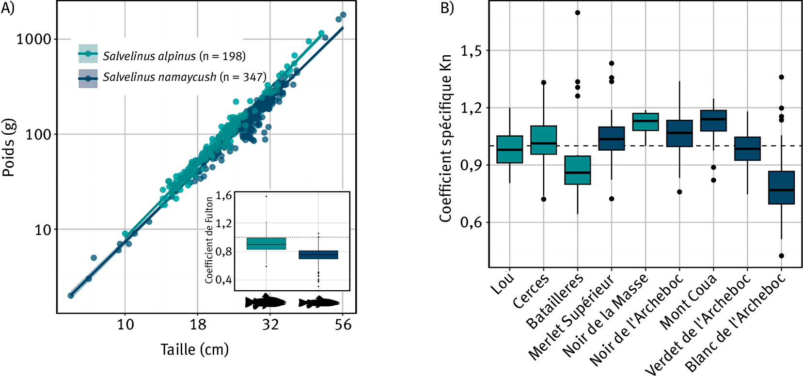 Figure 2. (A) Relation (log-log) entre la taille et le poids des Salmonidés capturés dans les neuf lacs étudiés. L’insert montre le coefficient de Fulton qui présente des variations significatives entre espèces distinguant les différentes morphologies suggérées par les icônes. (B) Le coefficient relatif Kn permet de s’affranchir des différences morphologiques spécifiques et met en évidence des différences de conditions entre lacs pour les deux espèces. Les lacs sont ordonnés par altitude croissante de gauche à droite.