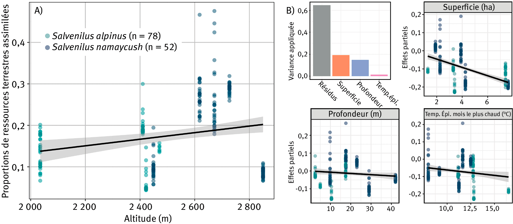 Figure 5. Changement de la proportion de ressources terrestres assimilées par les Salmonidés en fonction de l’altitude (A). Effets partiels des trois variables retenues dans le modèle linéaire multiple permettant d’expliquer les variations de proportions de ressources terrestres assimilées par les Salmonidés (B).