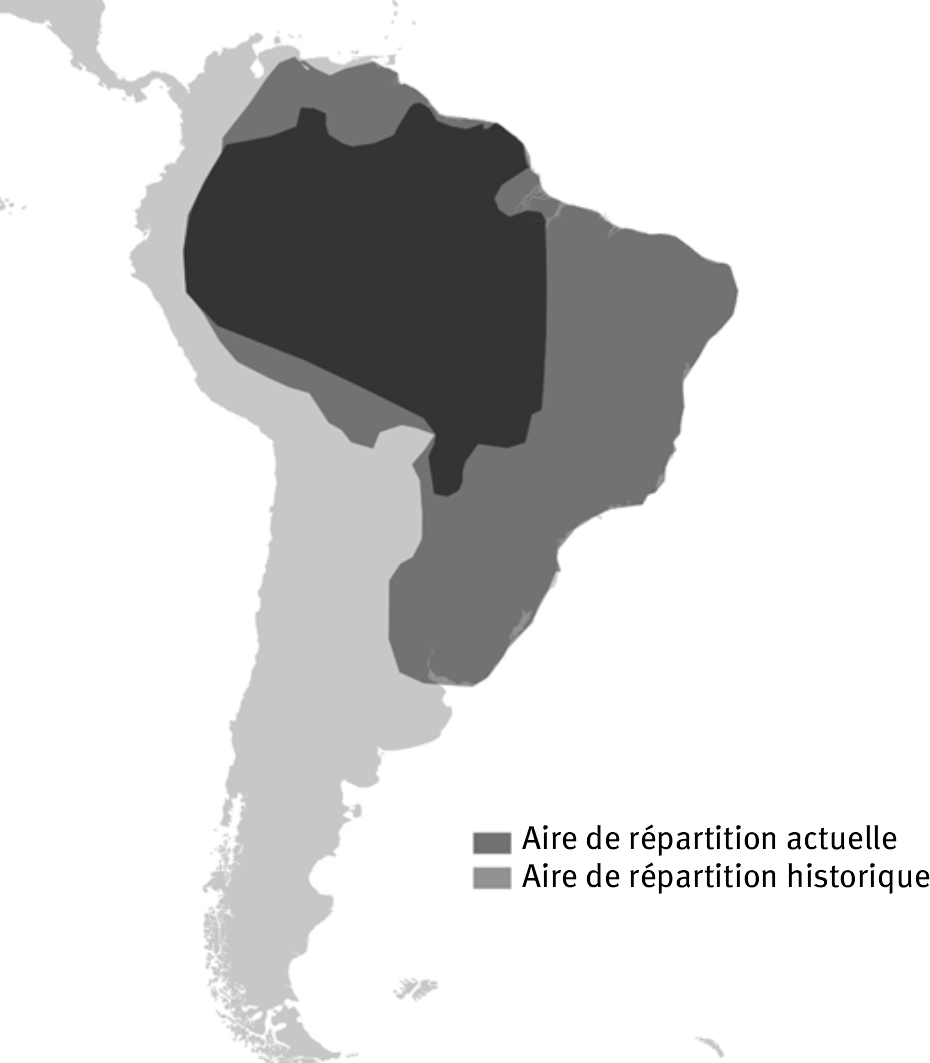 Figure 2. Aire de répartition actuelle et historique de la Loutre géante (Pteronura brasiliensis), adaptée de Groenendijk et al. (2022). Une image contenant texte, carte Le contenu généré par l’IA peut être incorrect.