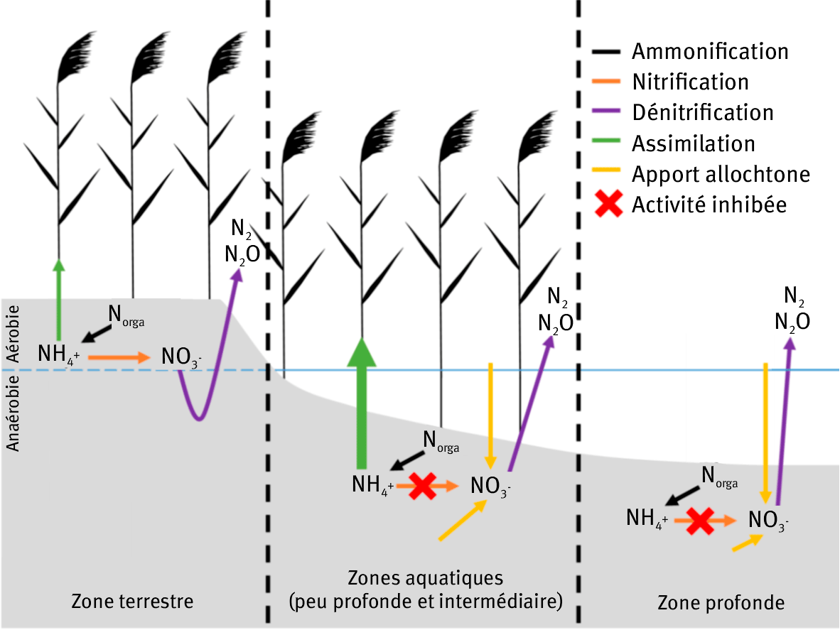 Une image contenant texte, diagramme, capture d’écran, ligne Le contenu généré par l’IA peut être incorrect.